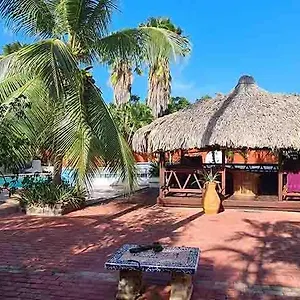 Alojamento de Acomodação e Pequeno-almoço Woodstock Palmresort Curacao, Willemstad